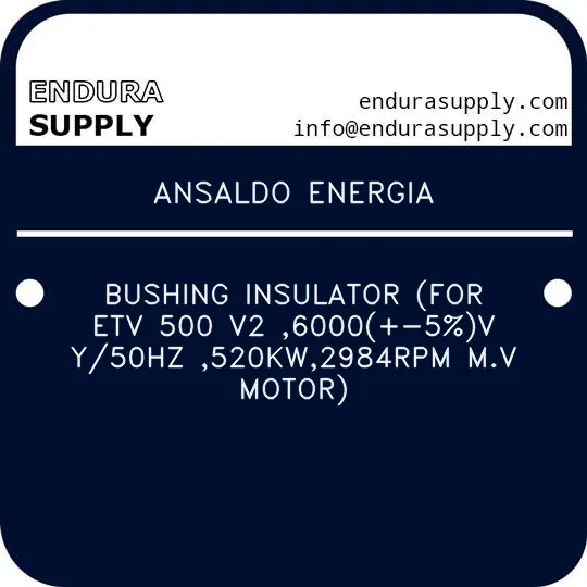 ansaldo-energia-bushing-insulator-for-etv-500-v2-6000-5v-y50hz-520kw2984rpm-mv-motor