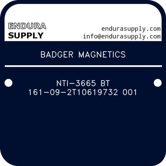 badger-magnetics-nti-3665-bt-161-09-2t10619732-001
