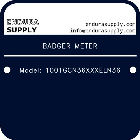 badger-meter-model-1001gcn36xxxeln36