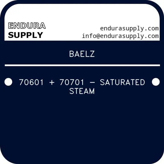baelz-70601-70701-saturated-steam