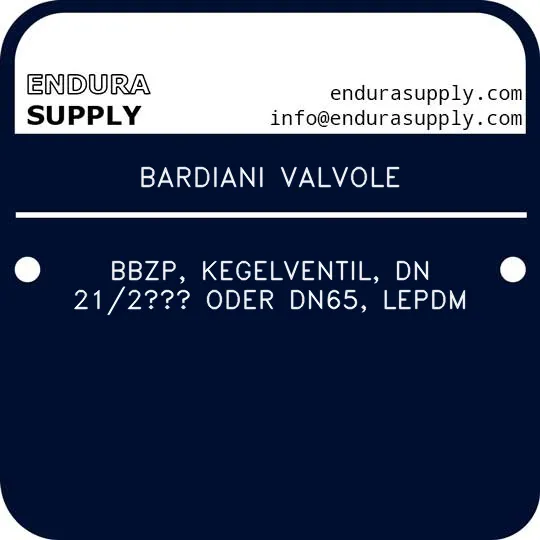 bardiani-valvole-bbzp-kegelventil-dn-212-oder-dn65-lepdm