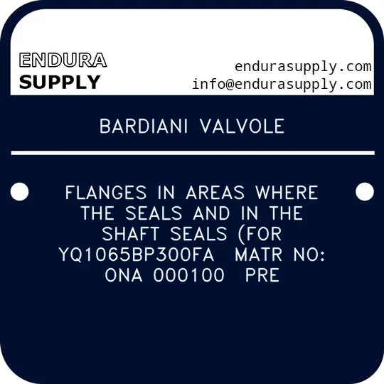 bardiani-valvole-flanges-in-areas-where-the-seals-and-in-the-shaft-seals-for-yq1065bp300fa-matr-no-ona-000100-pre