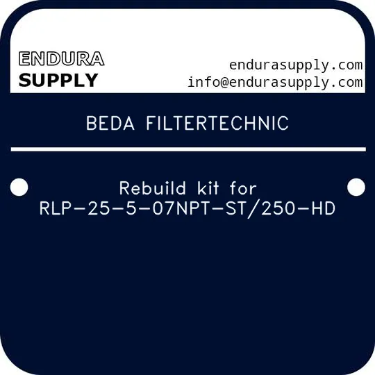 beda-filtertechnic-rebuild-kit-for-rlp-25-5-07npt-st250-hd
