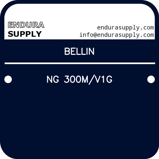 bellin-ng-300mv1g