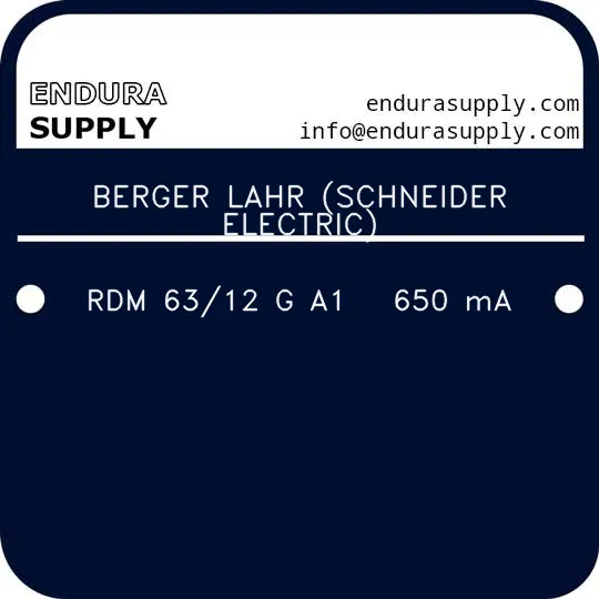 berger-lahr-schneider-electric-rdm-6312-g-a1-650-ma