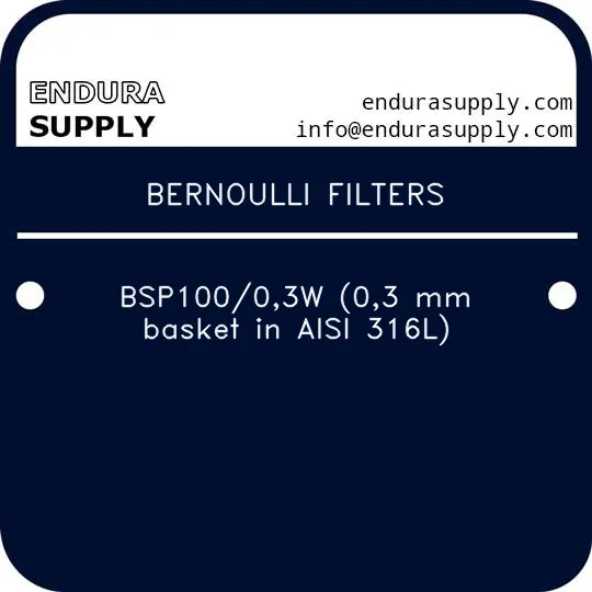 bernoulli-filters-bsp10003w-03-mm-basket-in-aisi-316l