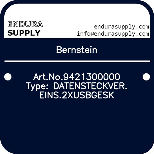 bernstein-artno9421300000-type-datensteckvereins2xusbgesk