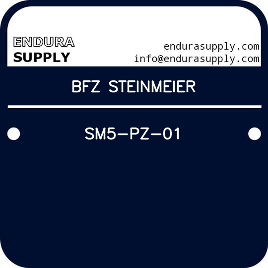 bfz-steinmeier-sm5-pz-01