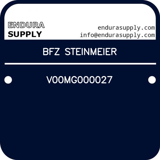 bfz-steinmeier-v00mg000027