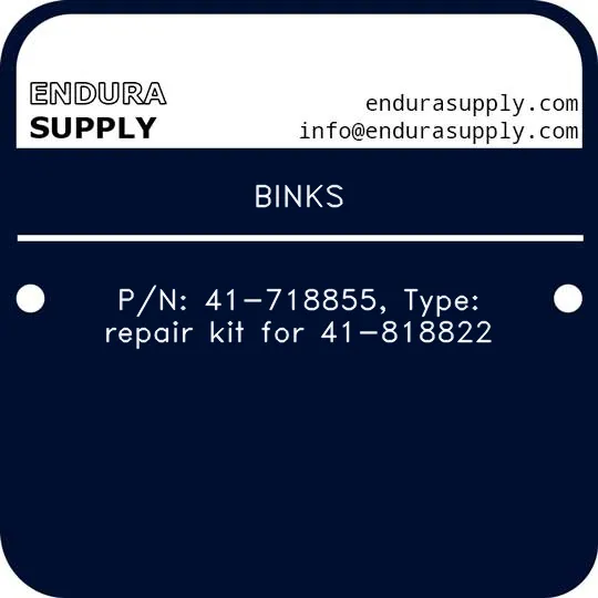 binks-pn-41-718855-type-repair-kit-for-41-818822