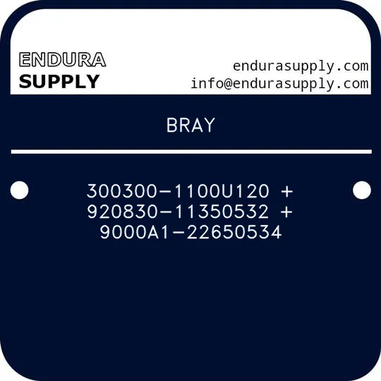bray-300300-1100u120-920830-11350532-9000a1-22650534