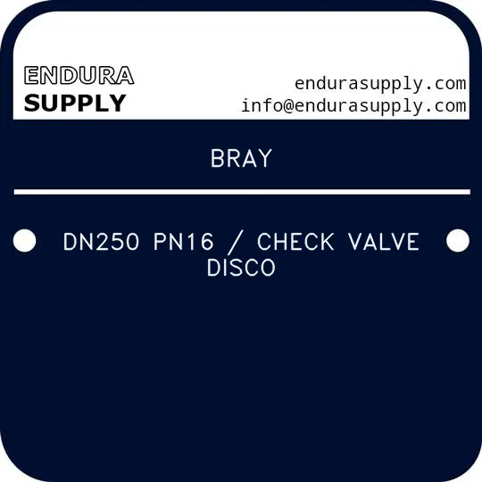 bray-dn250-pn16-check-valve-disco