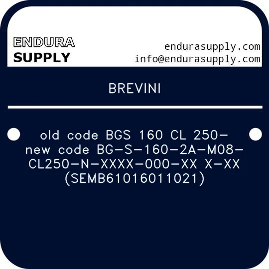 brevini-old-code-bgs-160-cl-250-new-code-bg-s-160-2a-m08-cl250-n-xxxx-000-xx-x-xx-semb61016011021