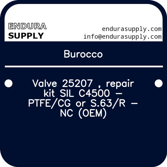 burocco-valve-25207-repair-kit-sil-c4500-ptfecg-or-s63r-nc-oem