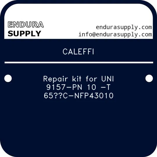 caleffi-repair-kit-for-uni-9157-pn-10-t-65c-nfp43010