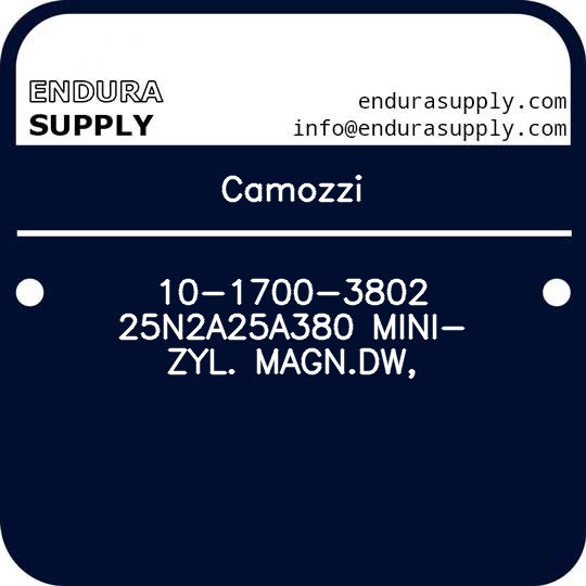 camozzi-10-1700-3802-25n2a25a380-mini-zyl-magndw