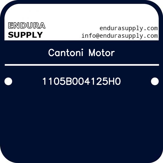 cantoni-motor-1105b004125h0