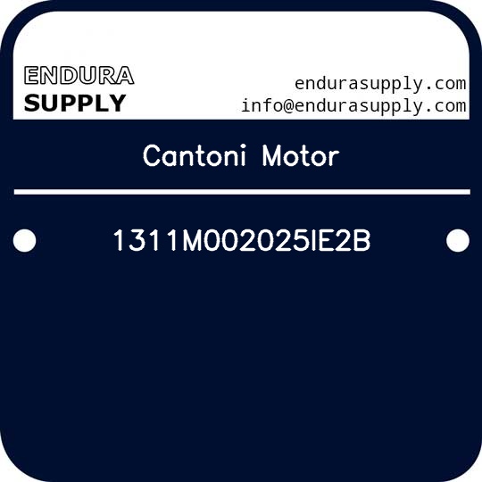 cantoni-motor-1311m002025ie2b