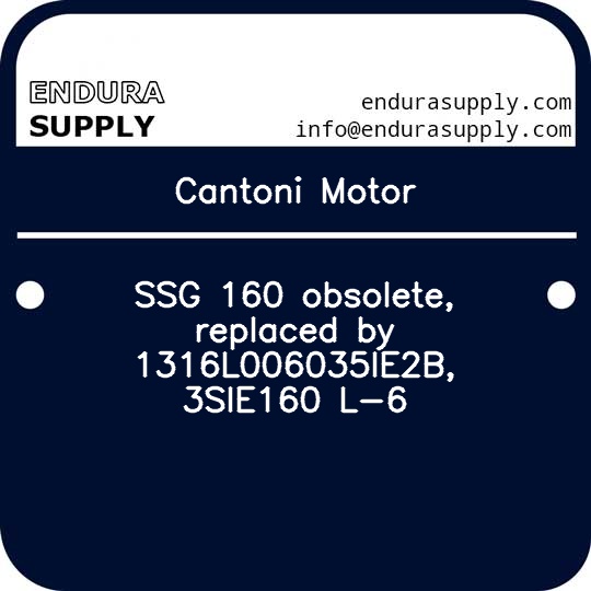 cantoni-motor-ssg-160-obsolete-replaced-by-1316l006035ie2b-3sie160-l-6