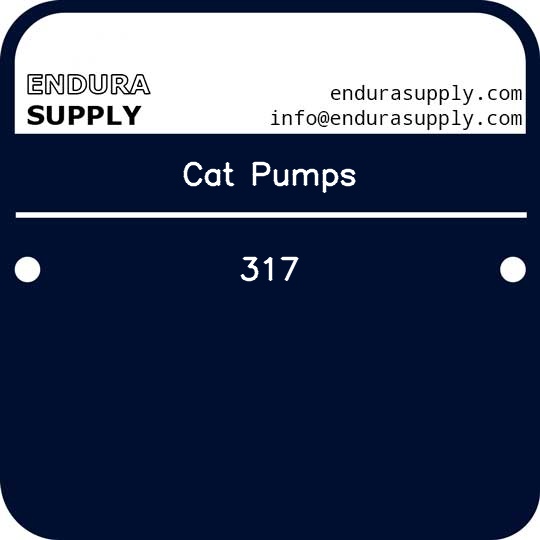 cat-pumps-317