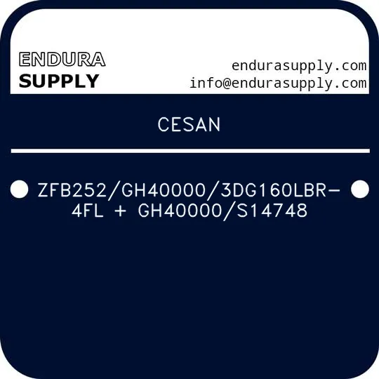 cesan-zfb252gh400003dg160lbr-4fl-gh40000s14748