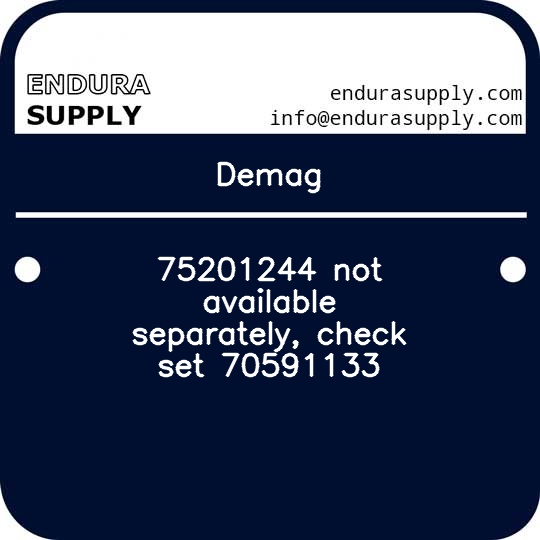 demag-75201244-not-available-separately-check-set-70591133