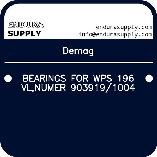 demag-bearings-for-wps-196-vlnumer-9039191004