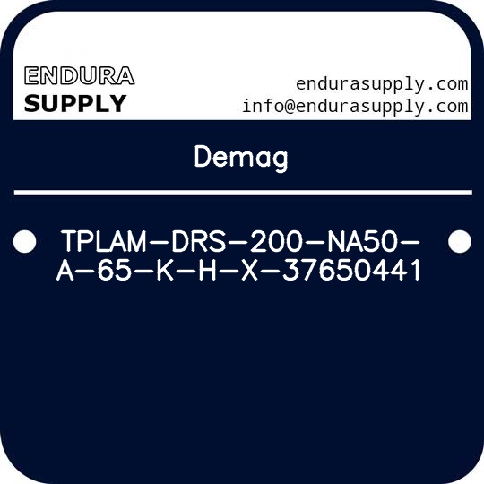 demag-tplam-drs-200-na50-a-65-k-h-x-37650441