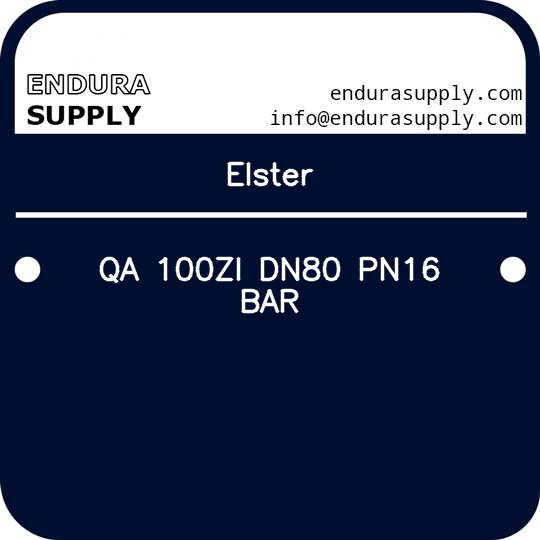 elster-qa-100zi-dn80-pn16-bar