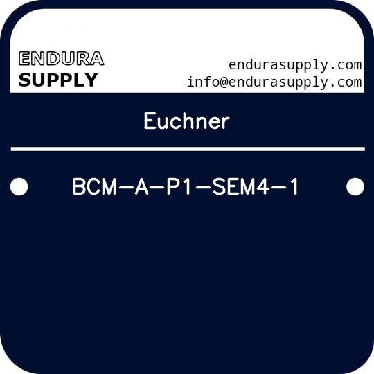 euchner-bcm-a-p1-sem4-1