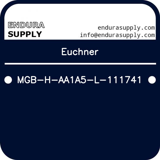 euchner-mgb-h-aa1a5-l-111741