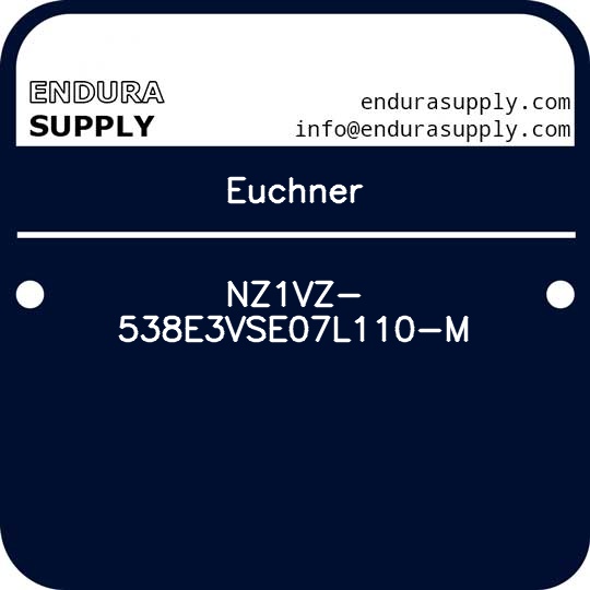 euchner-nz1vz-538e3vse07l110-m