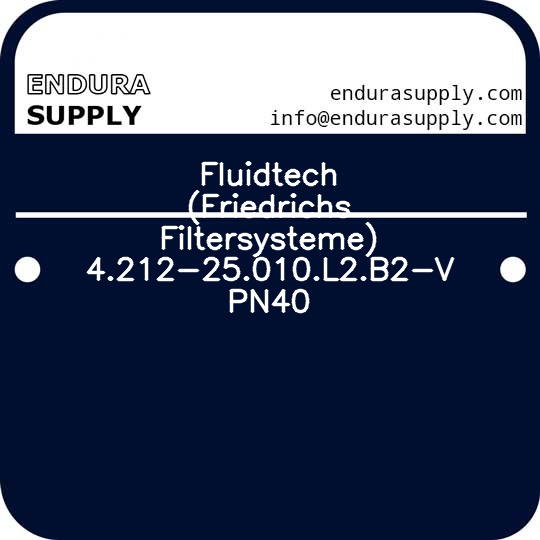 fluidtech-friedrichs-filtersysteme-4212-25010l2b2-v-pn40