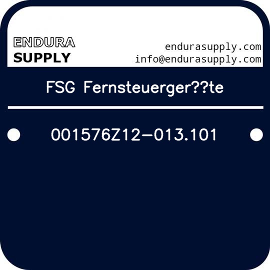 fsg-fernsteuergerate-001576z12-013101