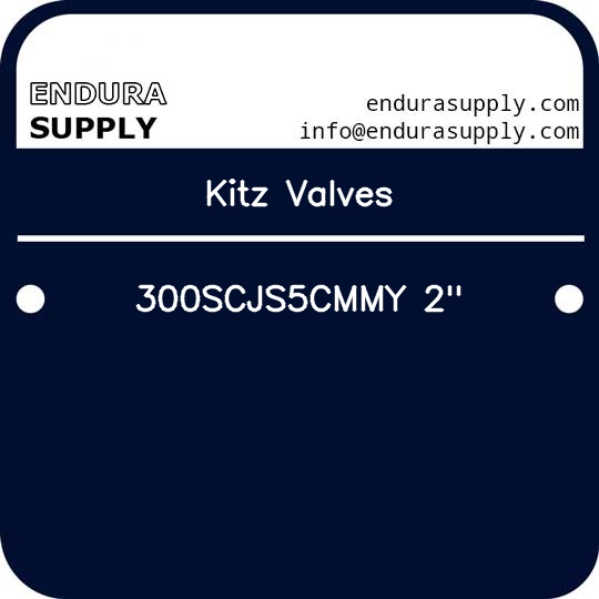 kitz-valves-300scjs5cmmy-2