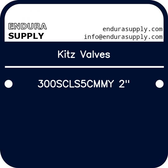 kitz-valves-300scls5cmmy-2