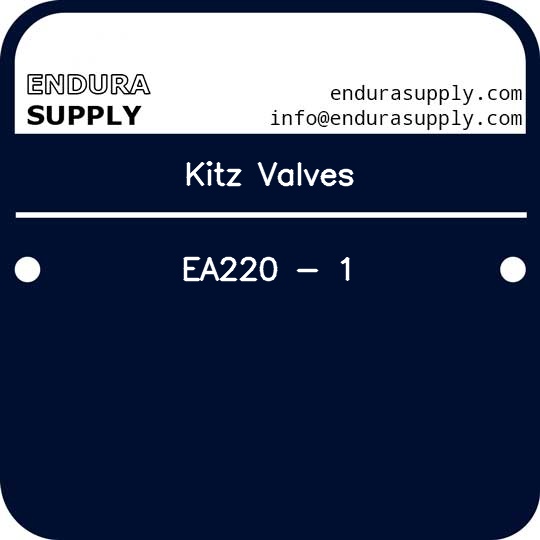 kitz-valves-ea220-1