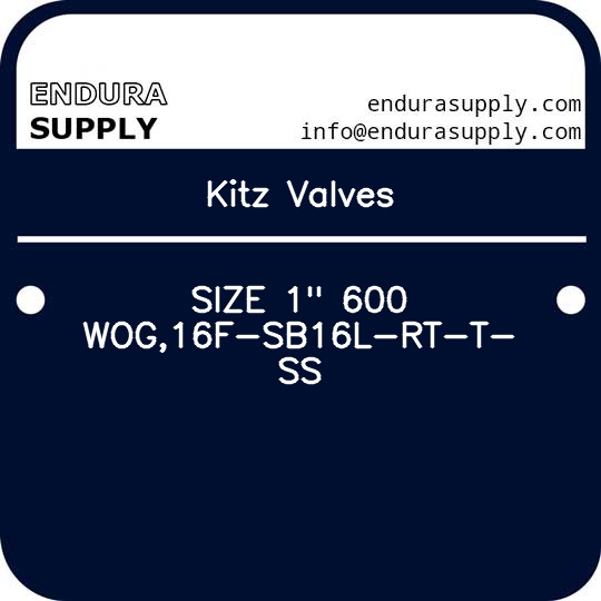 kitz-valves-size-1-600-wog16f-sb16l-rt-t-ss