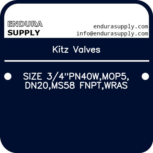 kitz-valves-size-34pn40wmop5dn20ms58-fnptwras