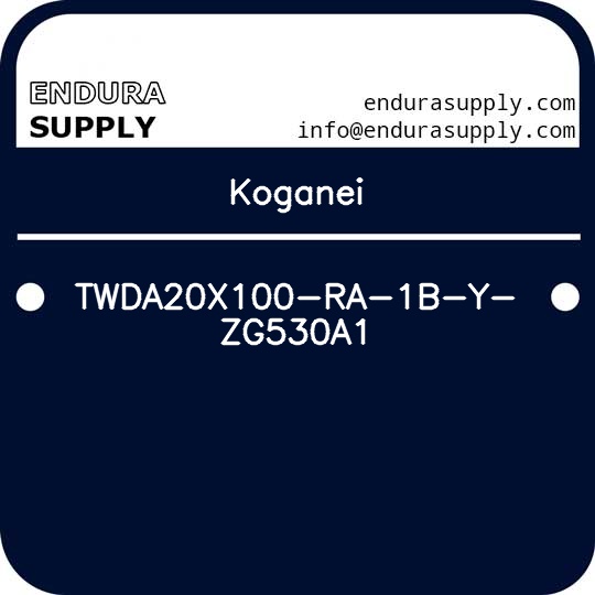 koganei-twda20x100-ra-1b-y-zg530a1