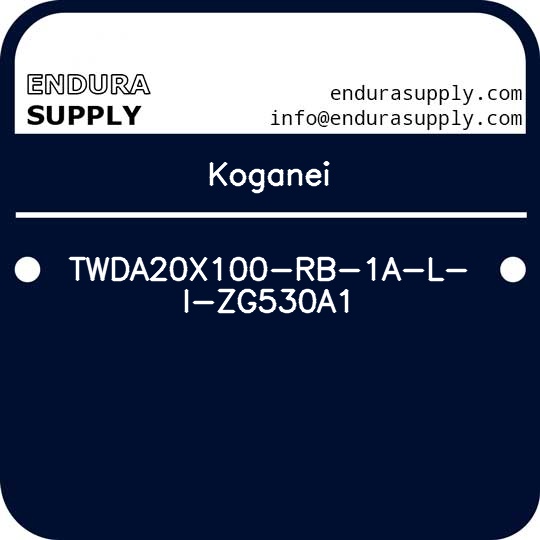 koganei-twda20x100-rb-1a-l-i-zg530a1