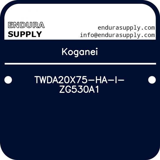 koganei-twda20x75-ha-i-zg530a1