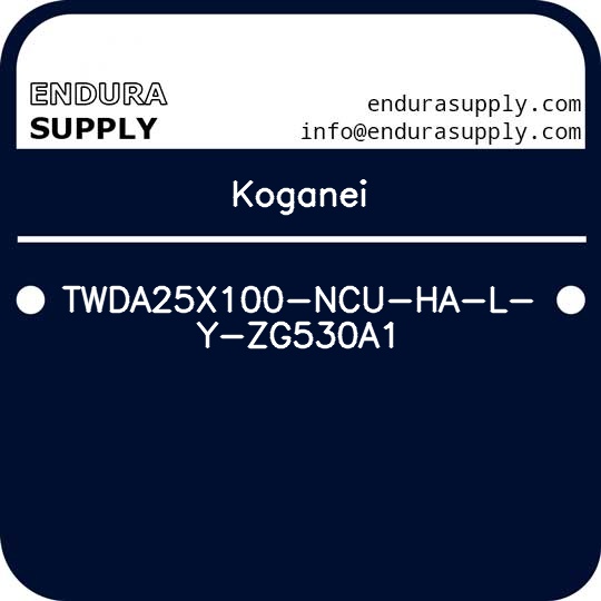 koganei-twda25x100-ncu-ha-l-y-zg530a1
