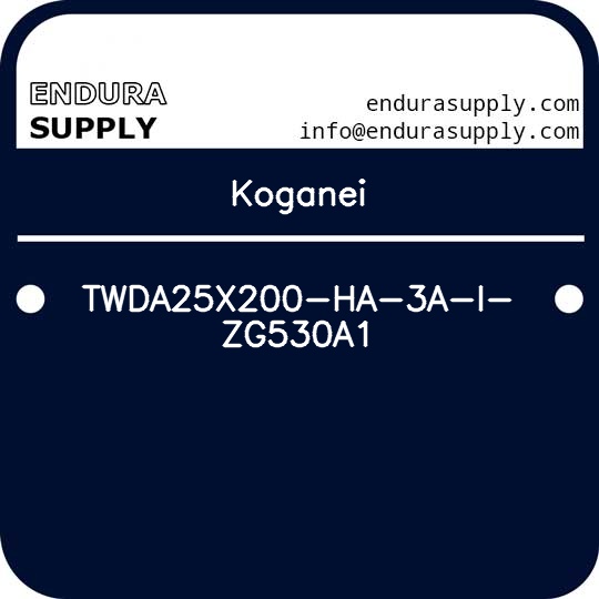 koganei-twda25x200-ha-3a-i-zg530a1