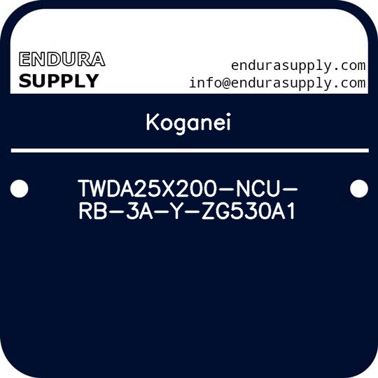 koganei-twda25x200-ncu-rb-3a-y-zg530a1