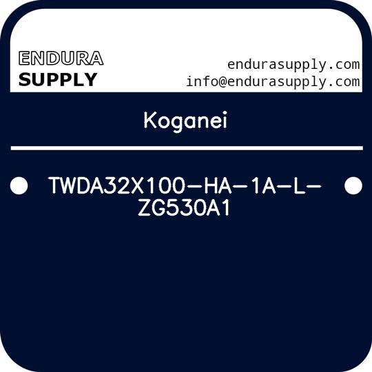 koganei-twda32x100-ha-1a-l-zg530a1