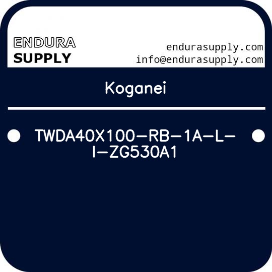 koganei-twda40x100-rb-1a-l-i-zg530a1