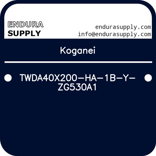 koganei-twda40x200-ha-1b-y-zg530a1