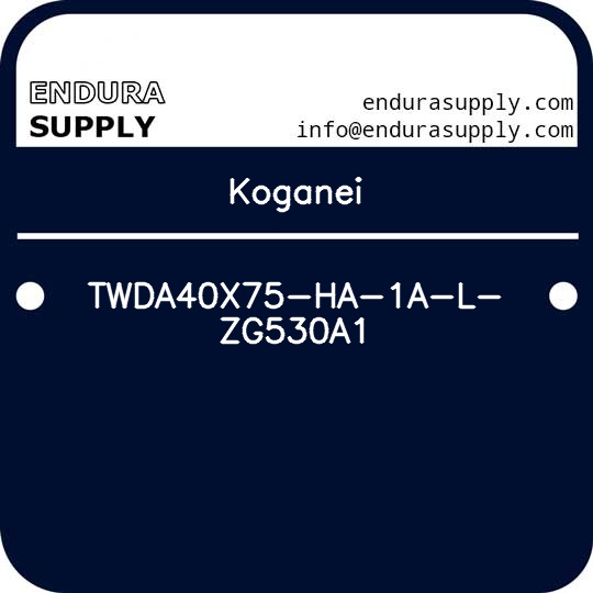koganei-twda40x75-ha-1a-l-zg530a1