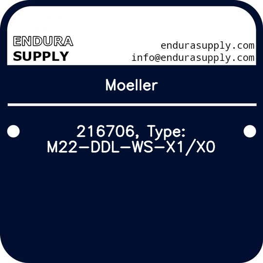 moeller-216706-type-m22-ddl-ws-x1x0